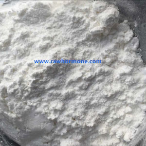 Dianabole Powder