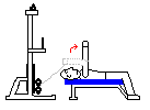 Cable Skull Crushers